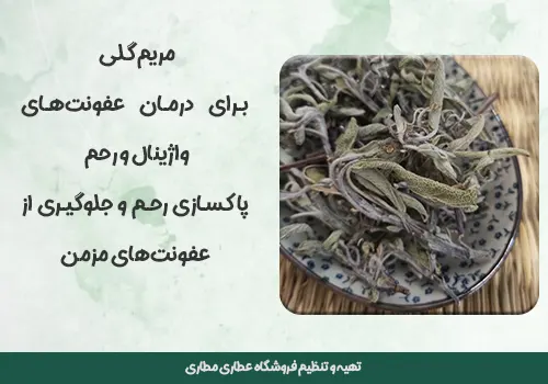 خواص مریم گلی برای عفونت رحم  خواص مریم گلی برای عفونت رحم