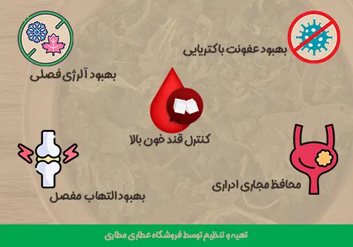 خواص چای گزنه - خواص گزنه - خاصیت دمنوش گزنه