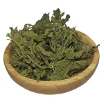گزنه دمنوش با طبع گرم و خشک