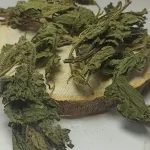 گزنه دمنوش با طبع گرم و خشک
