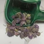 خرید دمنوش زوفا گل زوفا دمنوش مناسب بیماران آسمی و درمان سرفه خشک