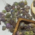 خرید دمنوش زوفا گل زوفا دمنوش مناسب بیماران آسمی و درمان سرفه خشک