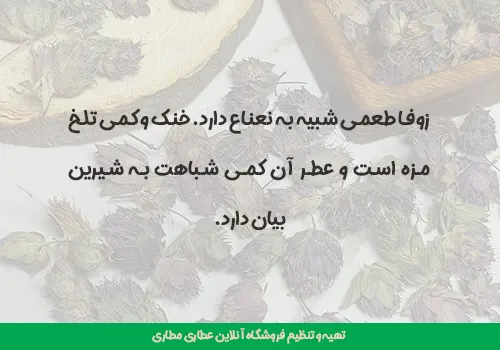 خواص دمنوش زوفا - خرید زوفا - گل زوفا - دمنوش زوفا - دمنوش خلط آور - دمنوش برونشیت - دمنوش برای سرفه - مزه زوفا