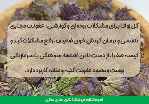 خواص دمنوش زوفا - خرید زوفا - گل زوفا - دمنوش زوفا