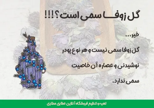 خواص دمنوش زوفا - خرید زوفا - گل زوفا - دمنوش زوفا - دمنوش خلط آور - دمنوش برونشیت - دمنوش برای سرفه