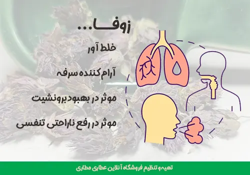 خواص دمنوش زوفا - خرید زوفا - گل زوفا - دمنوش زوفا - دمنوش خلط آور - دمنوش برونشیت - دمنوش برای سرفه