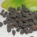 سپستان یا سه پستان دمنوش سرفه، گلو درد و بیماری معده و روده و کلیه