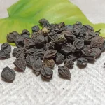 سپستان یا سه پستان دمنوش سرفه، گلو درد و بیماری معده و روده و کلیه