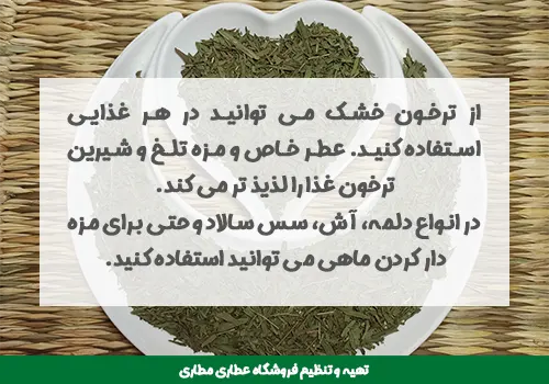 کاربرد ترخون خشک در آشپزی - استفاده در ترخون خشک - ترخون خشک - خرید ترخون خشک - قیمت ترخون خشک شده