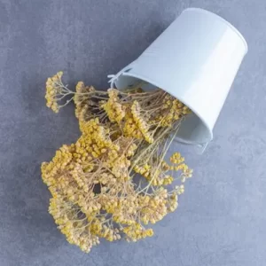 دمنوش و عرقیجات مناسب کبد چرب