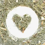 چای دم اسب بهبود سرماخوردگی کاهش قند و دفع سنگ کلیه