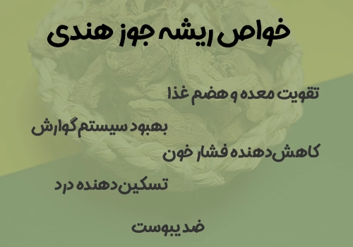 خواص ریشه جوز هندی