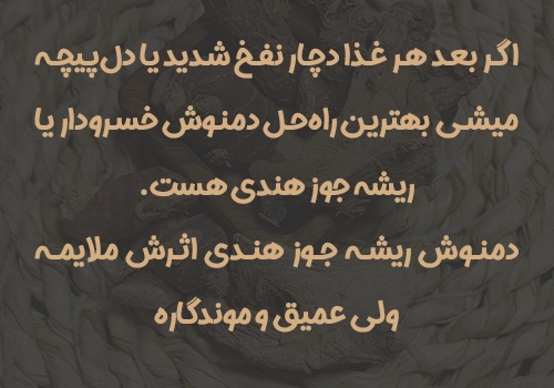 ریشه جوز هندی - خرید ریشه جوز هندی - خواص ریشه جوز هندی - قیمت ریشه جوز هندی