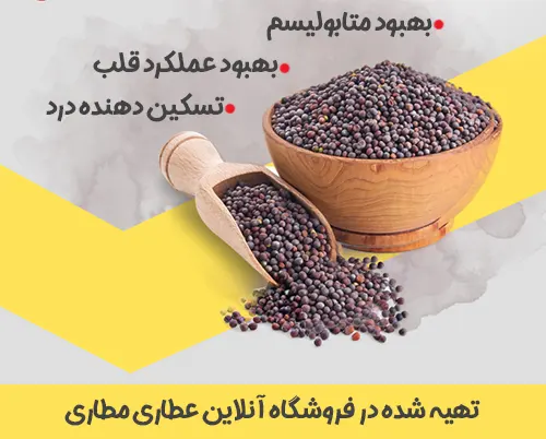 خواص درمانی دانه خردل سیاه عطاری مطاری
