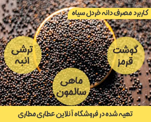 کاربرد و مصرف دانه خردل سیاه در آشپزی