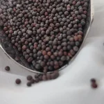 دانه خردل سیاه چاشنی قوی خوراک گوشت و ترشی