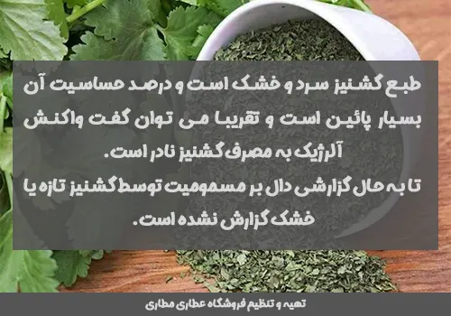 عوارض گشنیز خشک در صورت مصرف زیاد