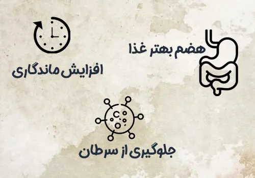 دلایل استفاده از ادویه جات و چاشنی در غذا