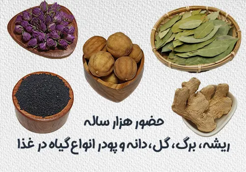 حضور هزار ساله ادویه جات در آشپزی از ریشه برگ گل دانه انواع گیاه