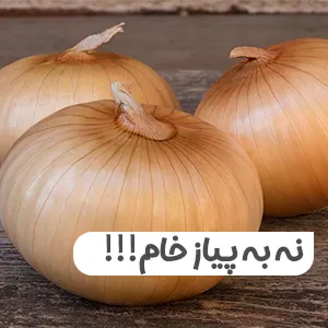 کاربرد پودر پیاز و اسلایس پیاز در آشپزی - خرید پودر پیاز - خرید اسلایس پیاز خشک - قیمت پودر پیاز