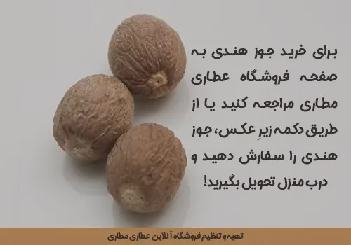 خرید جوزهندی از فروشگاه عطاری مطاری عطاری آنلاین در تهران