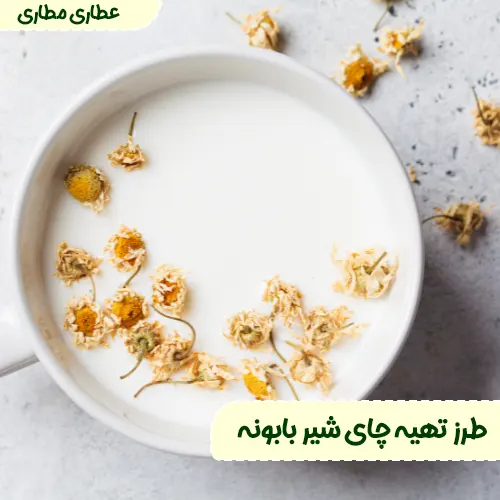 چای شیر بابونه درمانگر بی‌خوابی شبانه