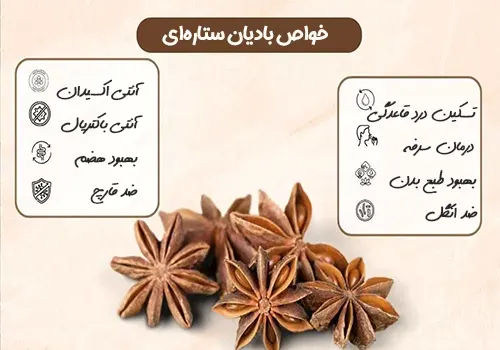 بهترین قیمت خرید بادیان ستاره ای یا بادیان ختایی