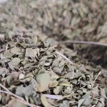 فواید مصرف برگ آویشن - برگ آویشن - خرید آویشن - خرید اویشن - قیمت اویشن - دمنوش اویشن