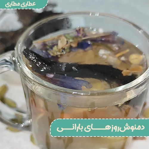 دمنوش روزهای بارانی - دمنوشی که روزهای بارانی میچسبه!