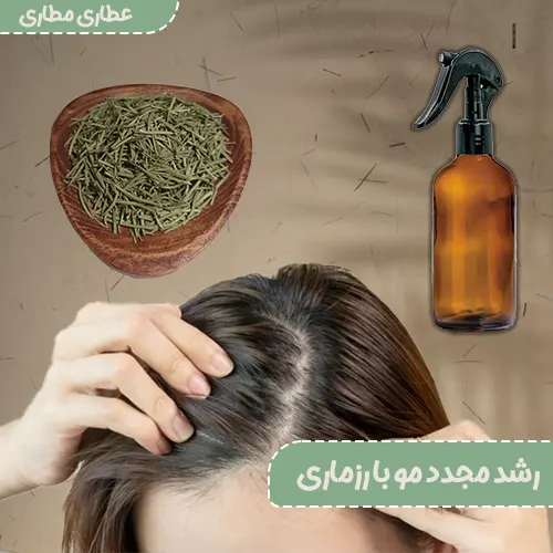 رشد مجدد مو با رزماری - اسپری رزماری - تقویت مو با رزماری