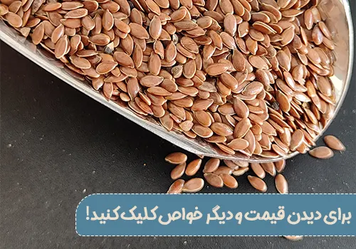 خرید تخم کتان