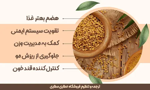 سه روش استفاده از تخم شنبلیله