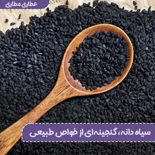 رازهای شگفتانگیز سیاه دانه برای سلامت و زیبایی