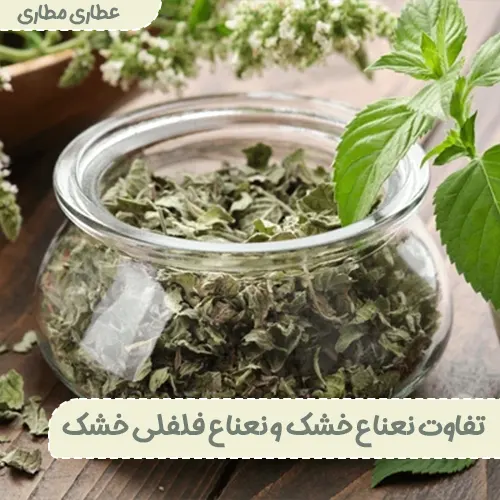 تفاوت نعناع خشک و نعناع فلفلی خشک