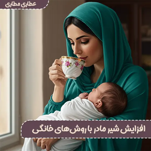 چگونه شیر مادر را با روشهای خانگی افزایش دهیم؟ + افزایش شیر مادر + افزایش شیر مادر با روشهای خانگی