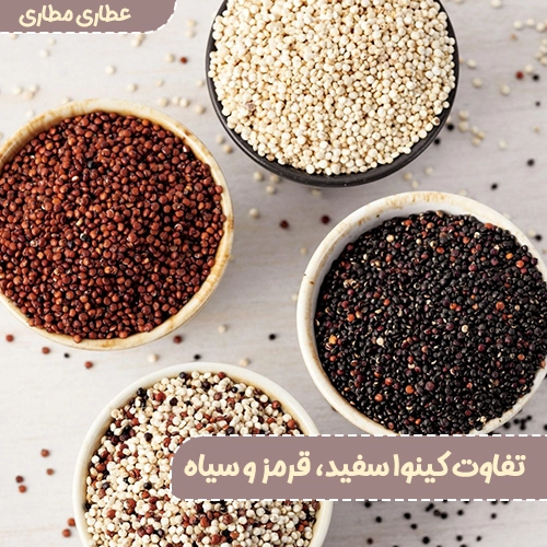 تفاوت کینوا سفید، قرمز و سیاه بررسی کاربرد در آشپزی