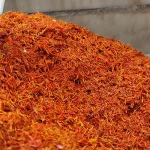 بهترین قیمت خرید گلرنگ - گیاه گل رنگ