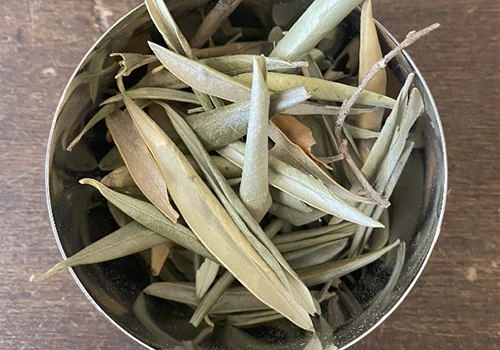 دمنوش برگ زیتون برای پاکسازی بدن و کاهش التهاب