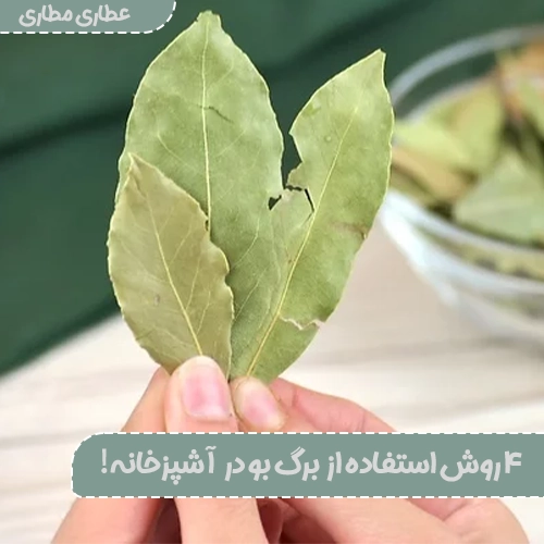 4 روش استفاده از برگ بو در آشپزخانه