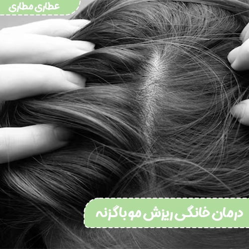 درمان ریزش مو با گزنه - گزنهو ریزش مو - تقویت مو با گزنه - خواص گزنه برای درمان ریزش مو