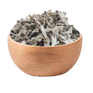 قیمت و خرید گیاه خرگوشک - ماهور