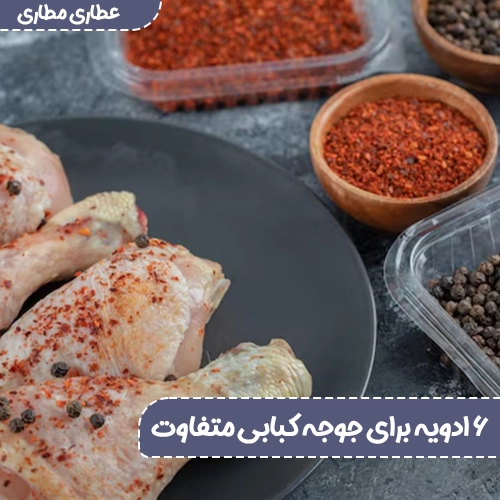 ادویه برای جوجه کباب - چاشنی جوجه کباب - مزه دار کردن جوجه کباب - بهترین چاشنی جوجه کباب